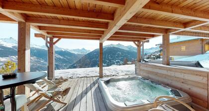 Etoiles des Neiges LUXE & JACUZZI chalet 12 pers