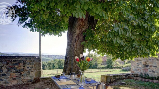 A picnic table set under a tree with a view of the countryside. - Spacious and cozy family gîte, pets allowed, up to 10 people (Saint-Martin-la-Sauveté)