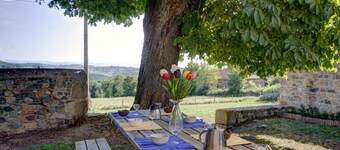 Spacious Cottage with Modern Amenities, Nature Trails, Fiber Internet & Pet-Friendly