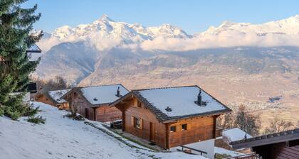 Fontannets 008 QUIET & SUPERIOR chalet 10 pers