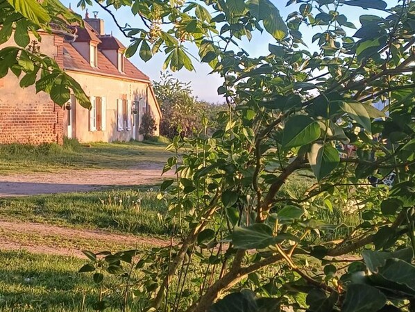 A rustic house with a brick exterior, a visible chimney, and a grassy yard.