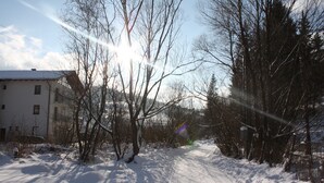 A snow-covered road with bare trees and a building on the left. - Beautiful modern villa with large suites in the middle of the mountains (Oščadnica )