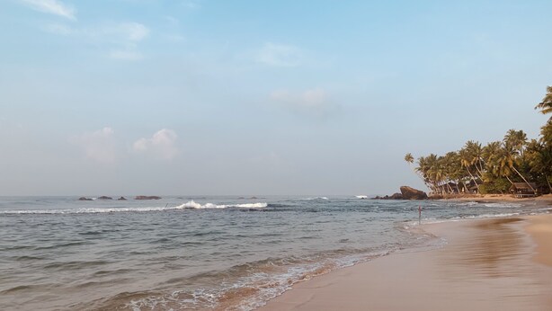 A beach with calm waves, a sandy shore, and a row of palm trees. - Lovely Villa near Unawatuna Beach. (Unawatuna)