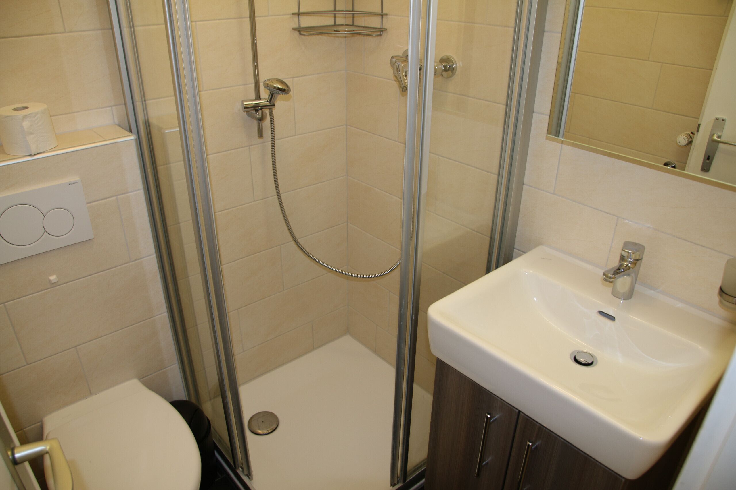 A bathroom with a glass-enclosed shower, a toilet, and a sink with a mirror above it.