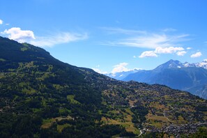 Miscellaneous - Greppons O 020 - MOUNTAIN apartment 5 pers (Veysonnaz)