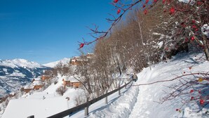 A snowy mountain landscape with wooden fences and red berries on branches.
