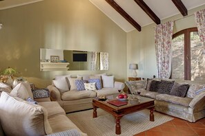 TV, fireplace, books - Gorgeous villa, infinity pool and jaw dropping views. Sleeps up to eight (GAUCIN)