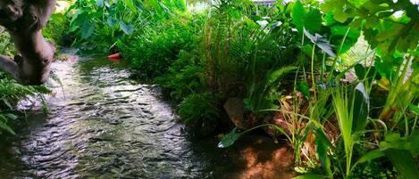 Jardines del alojamiento