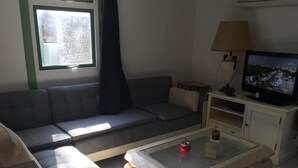 Un salon avec un canapé gris, une table basse en verre, un téléviseur et une lampe.