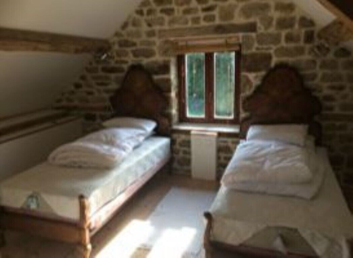 Image de profil de l’hôte