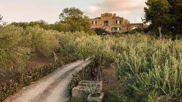 Parco della struttura