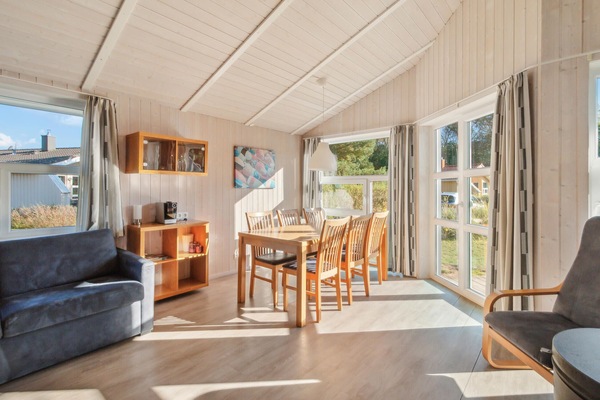 Televisor, llar de foc i reproductor de DVD