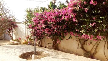 Stroll along the paved walkway surrounded by vibrant flowers and a low wall.