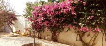 Two rooms for rent in a quiet villa