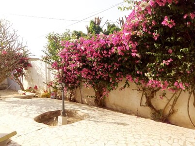 Two rooms for rent in a quiet villa