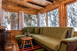TV, fireplace, DVD player, books