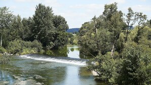 Uklassifisert bilde, 2 av 29, knapp