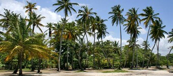 Country house in Guadeloupe