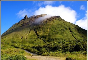 Imagen sin descripción, 4 de 19, botón