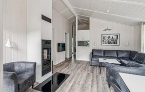 Télévision, cheminée, lecteur de DVD