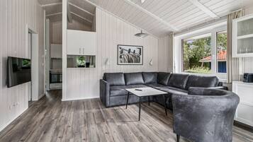 Fernseher, Kamin, DVD-Player