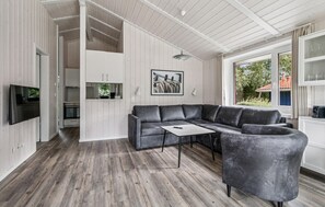 Fernseher, Kamin, DVD-Player