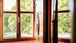 Blick durch ein Fenster mit Holzrahmen auf eine von Bäumen gesäumte Straße und einen klaren Himmel.