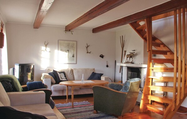 TV, fireplace, DVD player