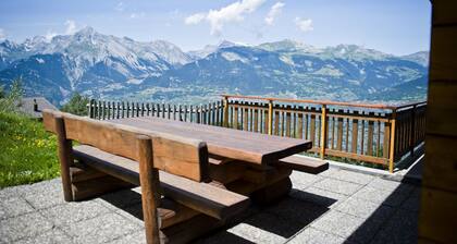 Fontannets 003 QUIET & SUPERIOR chalet 10 pers