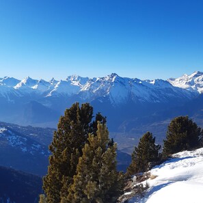 A mountainous landscape with snow-covered peaks and coniferous trees in the foreground.