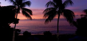 Una vista del atardecer con siluetas de palmeras contra el cielo.