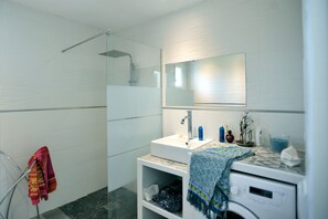 Shower, hair dryer, toilet paper