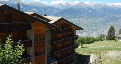 Plein Ciel VA 022 - MOUNTAIN apartment 4 pers