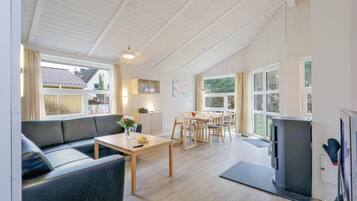 Fernseher, Kamin, DVD-Player