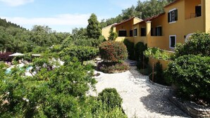 Un bâtiment jaune avec un chemin de pierre menant à une zone de piscine, entourée d’une végétation luxuriante et d’arbres.