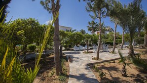 A paved pathway leading to outdoor seating with chairs and tables, surrounded by trees and plants.