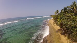 A beach with clear turquoise water, a sandy shore, and lush greenery including palm trees.