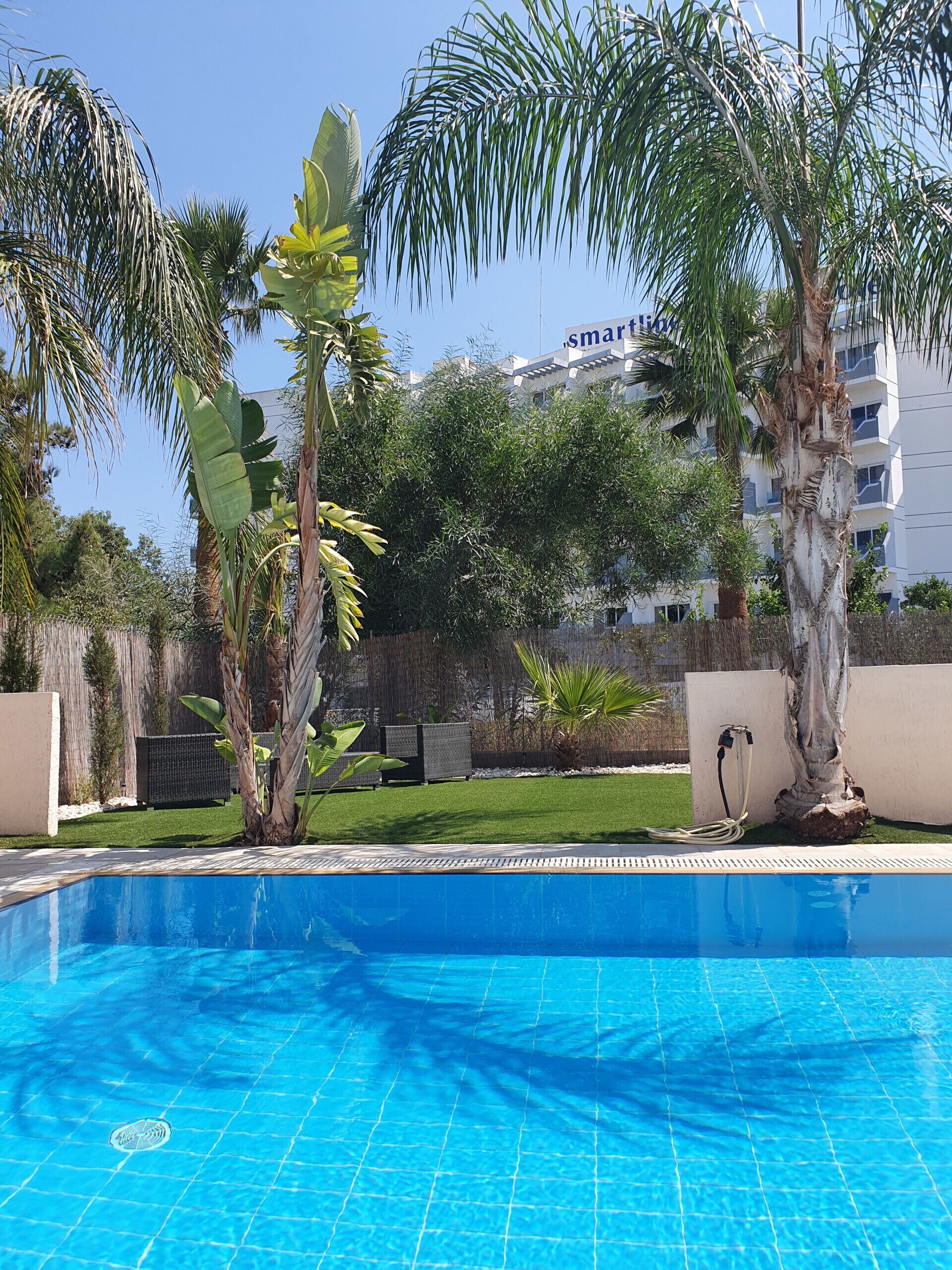 Una piscina con agua cristalina azul, rodeada de palmeras y una zona verde.