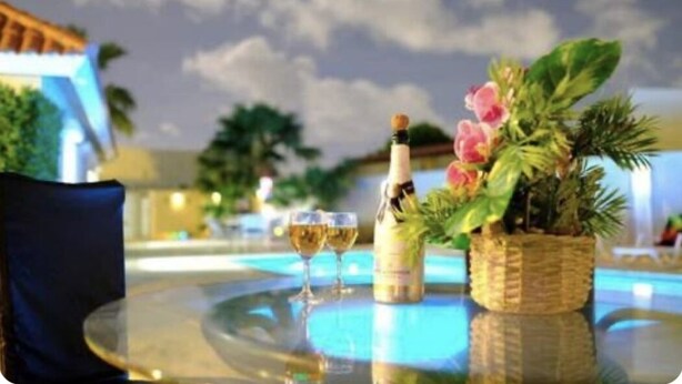 A round glass table with a bottle of champagne, two glasses, and a potted plant. - PALM BEACH LUXURY VACATION  VILLA !!!!! (Palm beach)