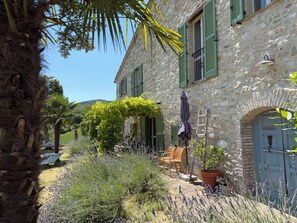 A stone building with green shutters, a door, and a small garden with lavender.