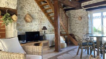 Televisie, een open haard, een dvd-speler en een muziekbibliotheek