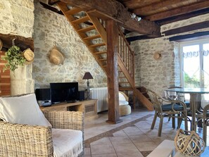 Télévision, cheminée, lecteur de DVD, médiathèque