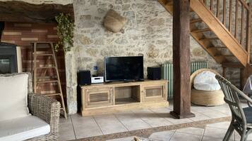 Televisie, een open haard, een dvd-speler en een muziekbibliotheek