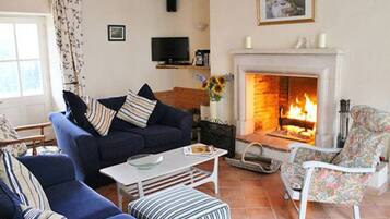 Smart-tv, eldstad, dvd-spelare och böcker