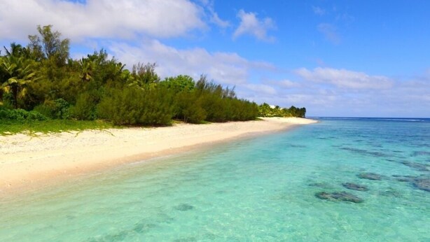 Una playa con agua turquesa cristalina y una orilla arenosa bordeada de vegetación verde exuberante.