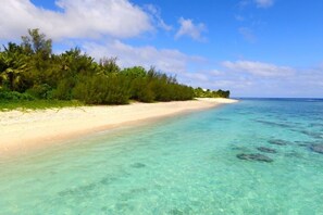 A beach with clear turquoise water, a sandy shore, and dense greenery.