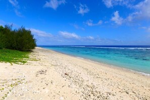 在海灘附近、沙灘巾