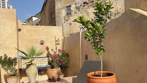 Un espacio exterior iluminado por el sol con suelo de baldosas, una maceta de terracota grande con una planta, una silla de descanso y plantas en macetas.