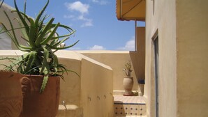 Un estrecho pasillo exterior con una planta de aloe vera en maceta a la izquierda y una escalera de baldosas que lleva a una puerta.