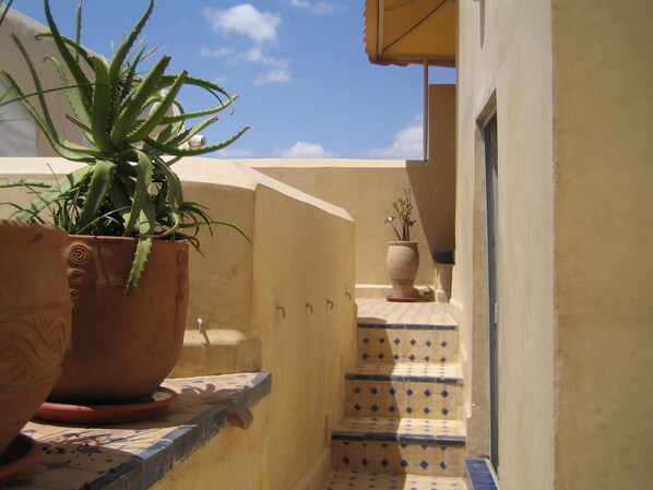 Un étroit couloir extérieur, avec un aloe vera en pot sur la gauche et un escalier carrelé menant à une porte.